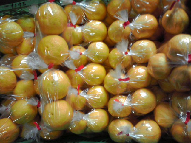 K3400001.JPG