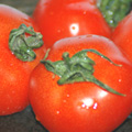 ?小金井野菜?トマト ?小金井野菜?トマト