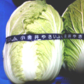 小金井野菜?白菜