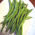 ?小金井野菜?サヤインゲン