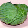 小金井野菜?キャベツ