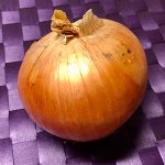 小金井野菜?タマネギ