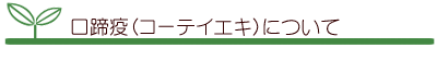 口蹄疫（コーテイエキ）について