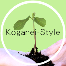 koganei-style