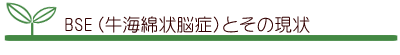 BSE(牛海綿状脳症)とその現状